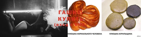 ПСИЛОЦИБИНОВЫЕ ГРИБЫ Медногорск