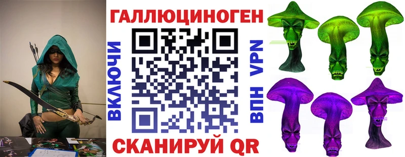 Псилоцибиновые грибы Psilocybe  omg вход  Каргат 